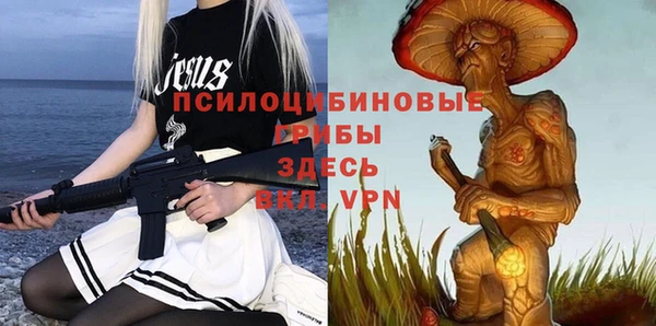 spice Беломорск